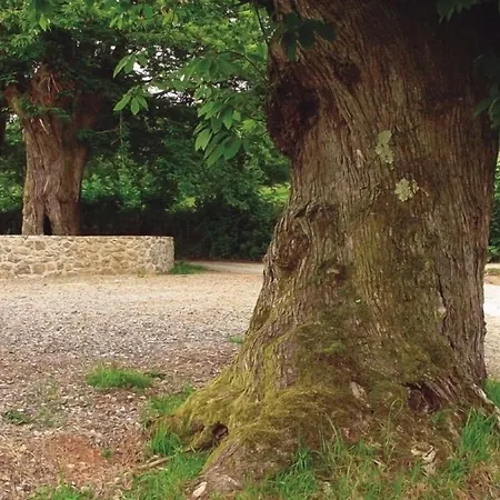 Rural Coviella 3* أريونداس