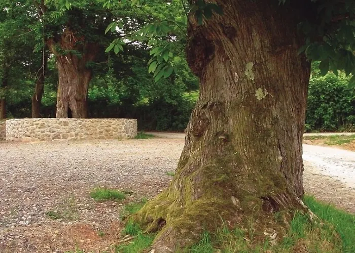 Hotel Rural Coviella 3* Arriondas